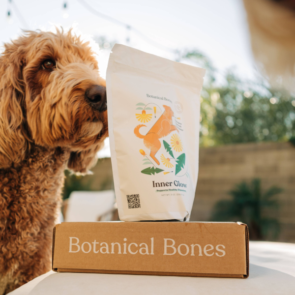 Bulk Treats - Superfood Dog Treat | Jar Refills - Image 2