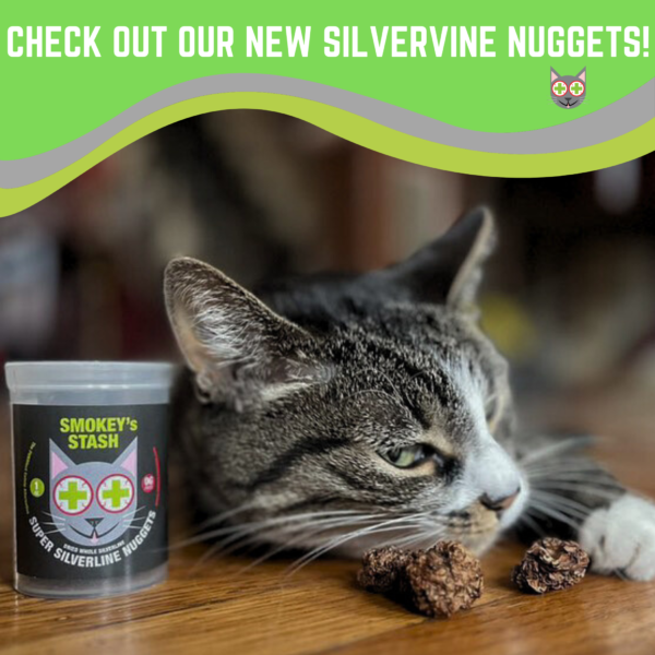Smokey's Stash Silvervine Nuggets - Catnip Alternative - Image 2
