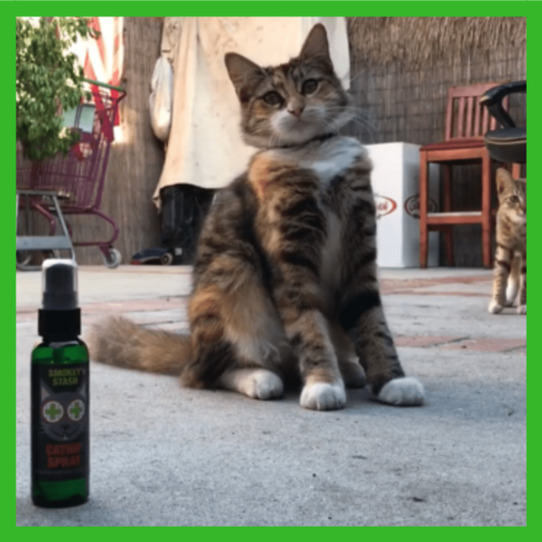 Smokey's Stash Catnip Spray Bottle - Image 2