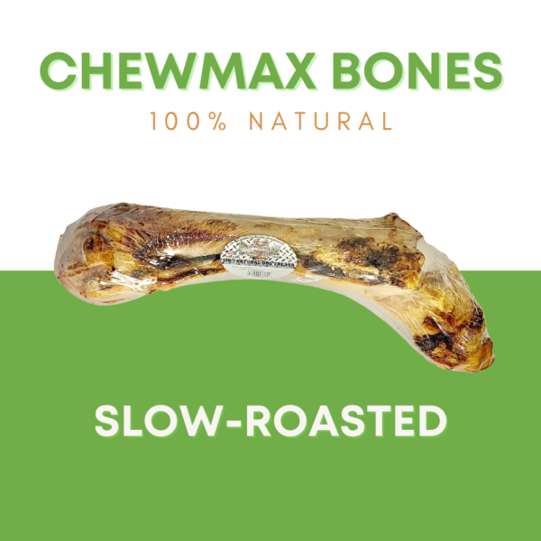 Slammer Beef Bone - Image 2