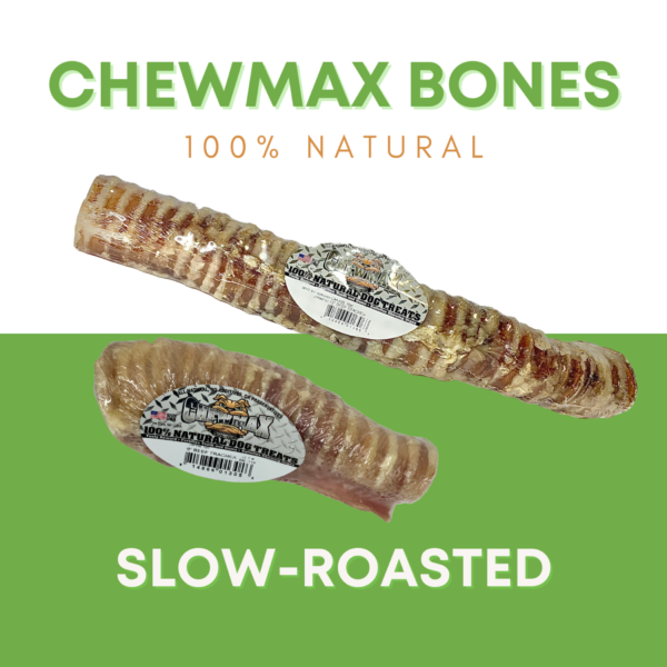 Beef Trachea Dog Chew - Image 2