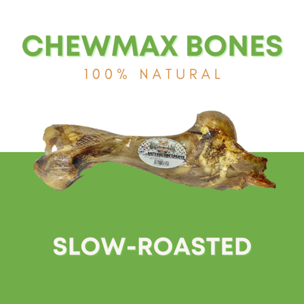 Dino Beef Bone - Image 2