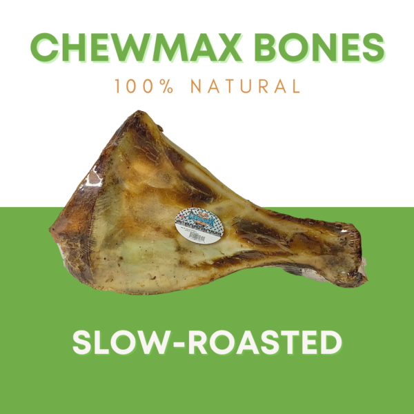 Blade Beef Bone - Image 2
