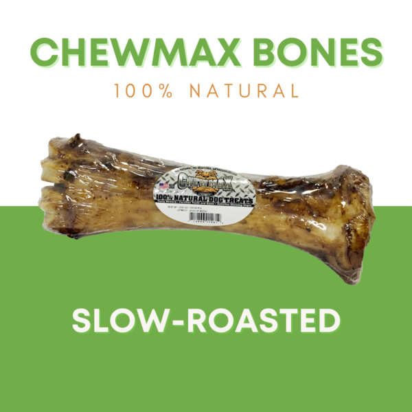 Shank Beef Bone - Image 2