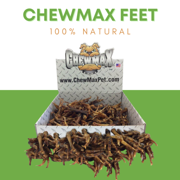 Chicken Feet - Image 2