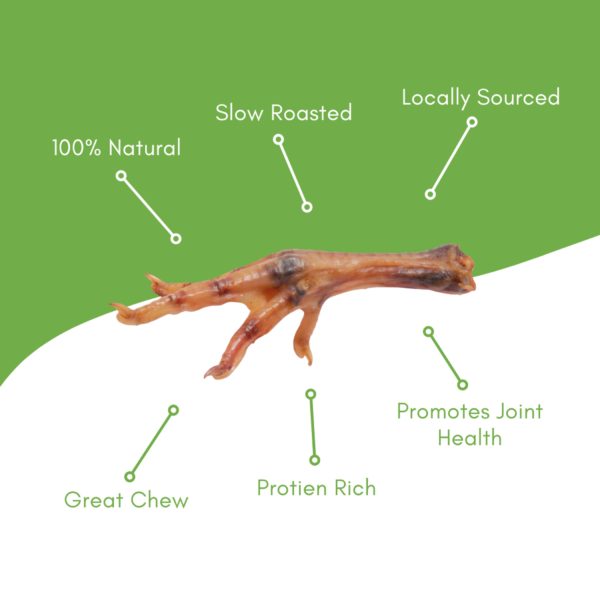 Chicken Feet - Image 3