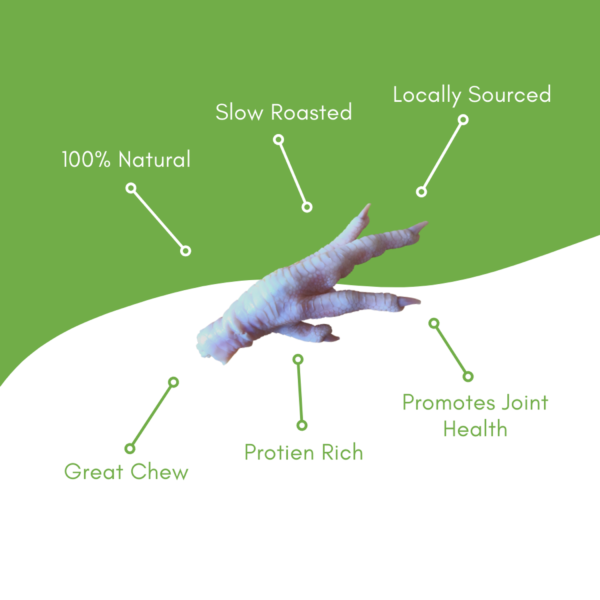 1 LB Bag Duck Feet - Image 3
