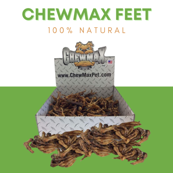 Duck Feet - Image 2