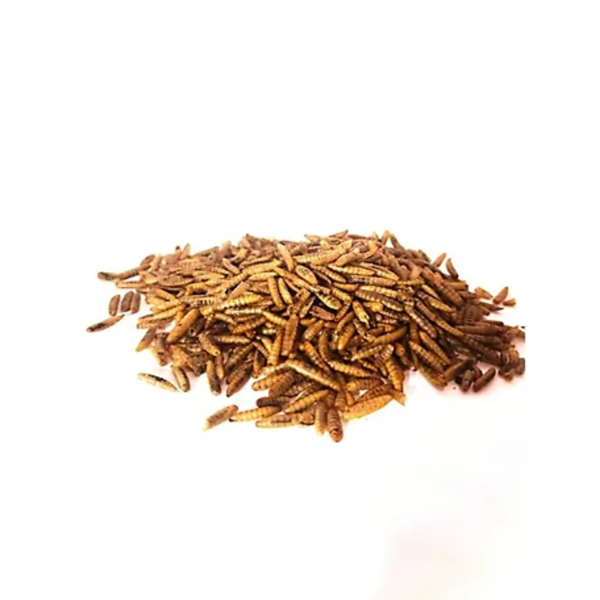 Dried Black Soldier Fly Larvae - Image 3