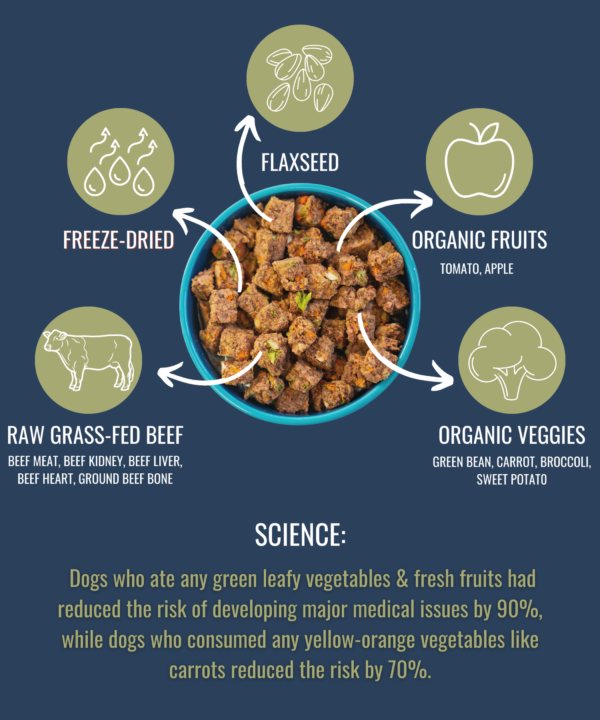 ALPHAPAK RAW FREEZE DRIED DOG FOOD 16 OZ - Image 8