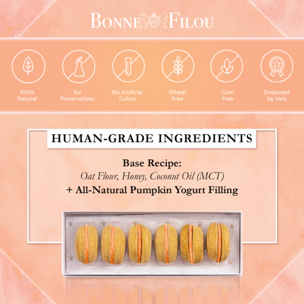 Dog Macarons - Box of 6 (Available in 12 Flavors) - Image 4