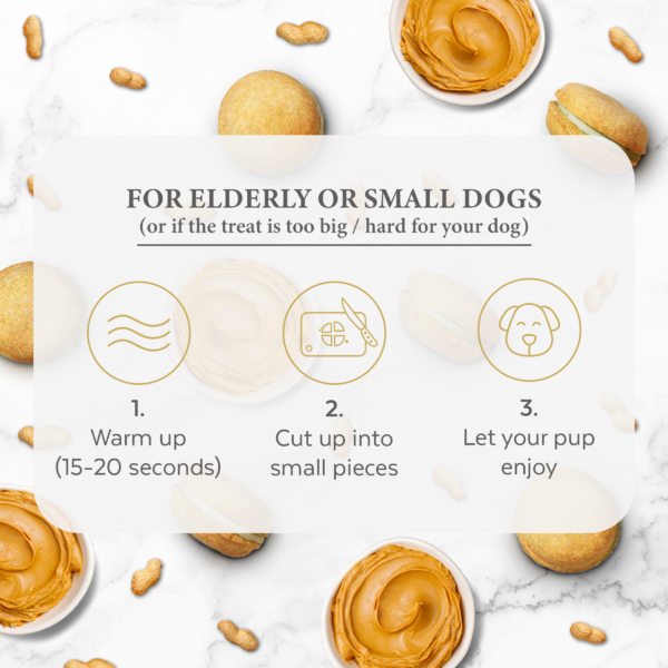 Dog Macarons - Box of 6 (Available in 12 Flavors) - Image 3