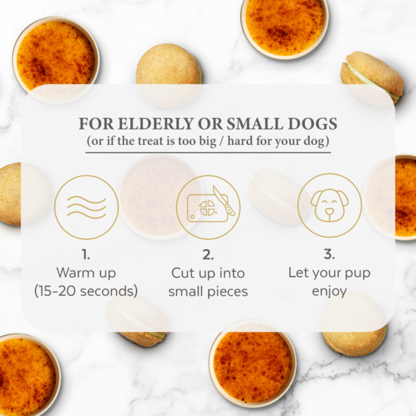 Dog Macarons - Box of 6 (Available in 12 Flavors) - Image 3