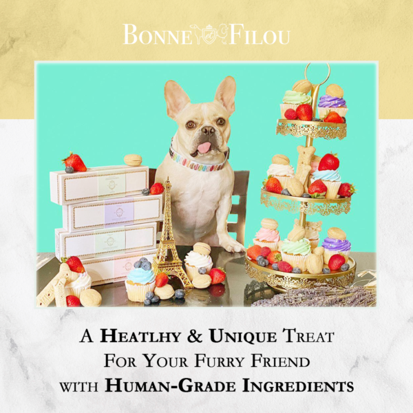 Dog Macarons - Box of 6 (Available in 12 Flavors) - Image 5