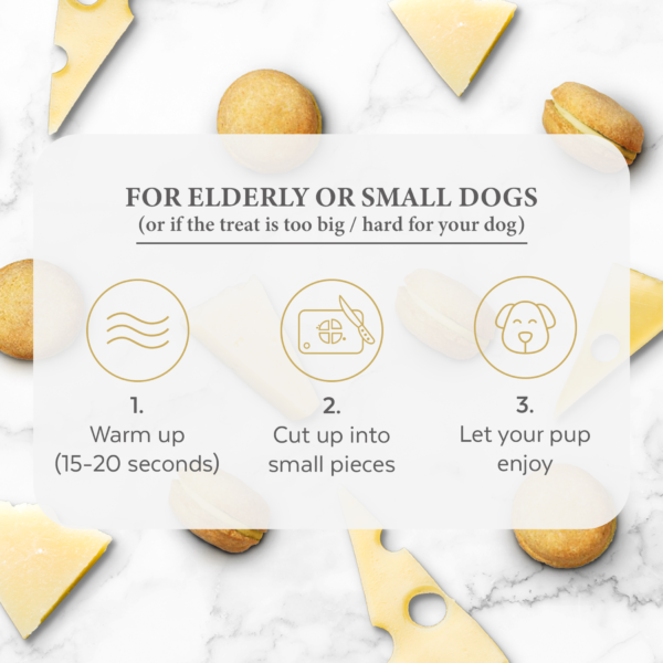 Dog Macarons - Box of 6 (Available in 12 Flavors) - Image 3