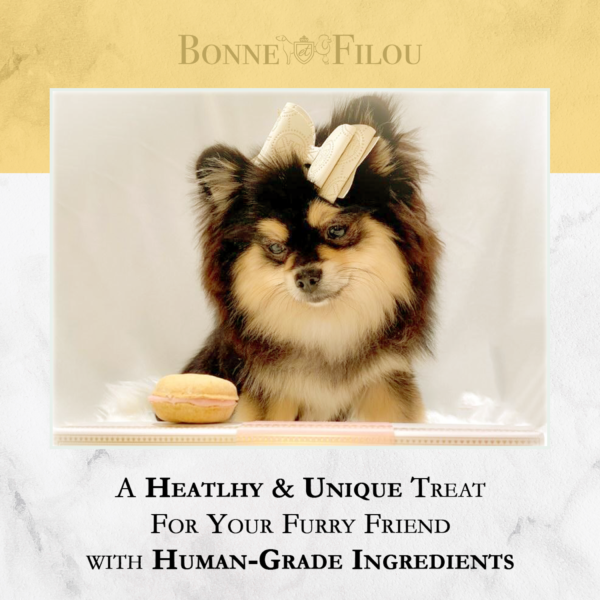 Dog Macarons - Box of 6 (Available in 12 Flavors) - Image 5
