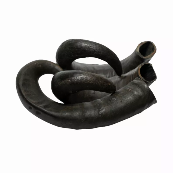 WATER BUFFALO HORN-100% Natural, Long-Lasting, Grain-Free, Gluten-Free, Dog Dental Treats & Chews-2 COUNT-15 oz - Image 3