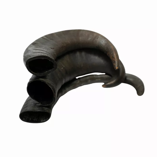 WATER BUFFALO HORN-100% Natural, Long-Lasting, Grain-Free, Gluten-Free, Dog Dental Treats & Chews-2 COUNT-15 oz - Image 4