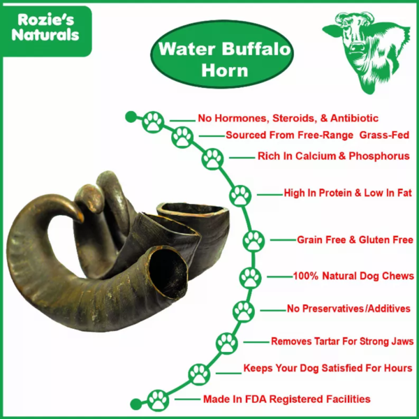 WATER BUFFALO HORN-100% Natural, Long-Lasting, Grain-Free, Gluten-Free, Dog Dental Treats & Chews-2 COUNT-15 oz - Image 6