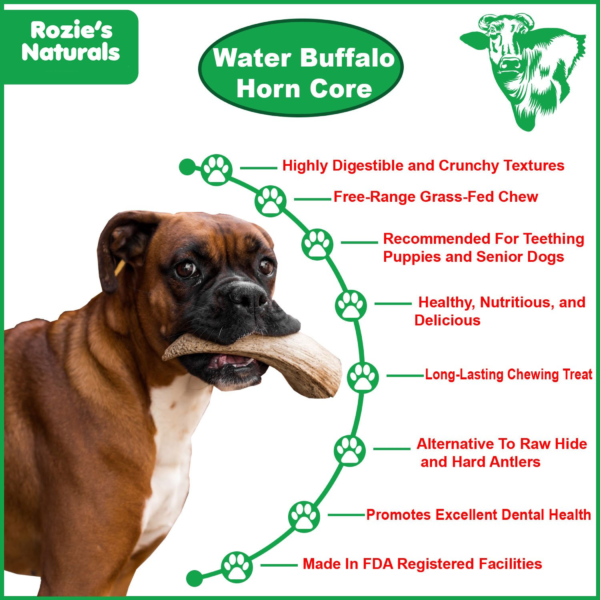 WATER BUFFALO HORN CORE-Horn Inner Part-100% Natural, High Protein, Long-Lasting, Grain-Free, Gluten-Free, Low-Fat, Dog Dental Treats & Chews-2 COUNT-10 oz - Image 2