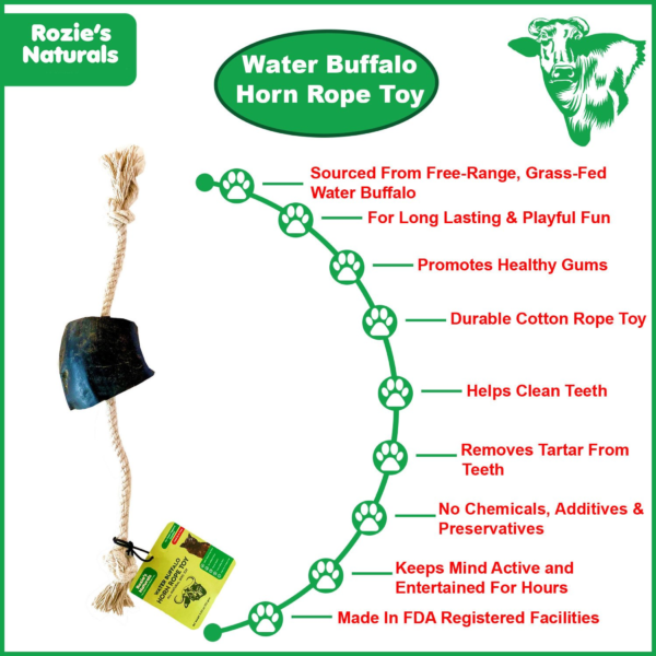 WATER BUFFALO HORN ROPE TUG TOY-100% Cotton Rope 14", Long-Lasting, Natural Dog Treat & Chews, Dog Dental Chew Toy-2 COUNT-10 oz - Image 2